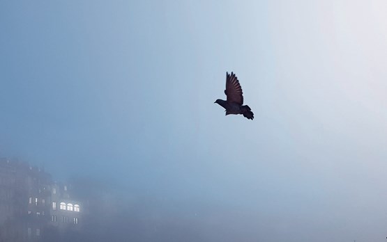 Le naturel n’empêche pas quelques précautions. Les exigences de sécurité devraient être formulées et discutées avec les fournisseurs de services liés au cloud. Photo: Ogi