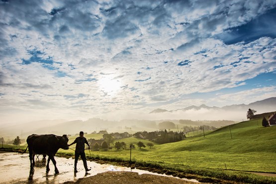 Die Zersiedelungsinitiative setzt die Bauern unter noch grösseren Druck. Deshalb lehnt der Bauernverband sie ab. Bild: zVg/SBV