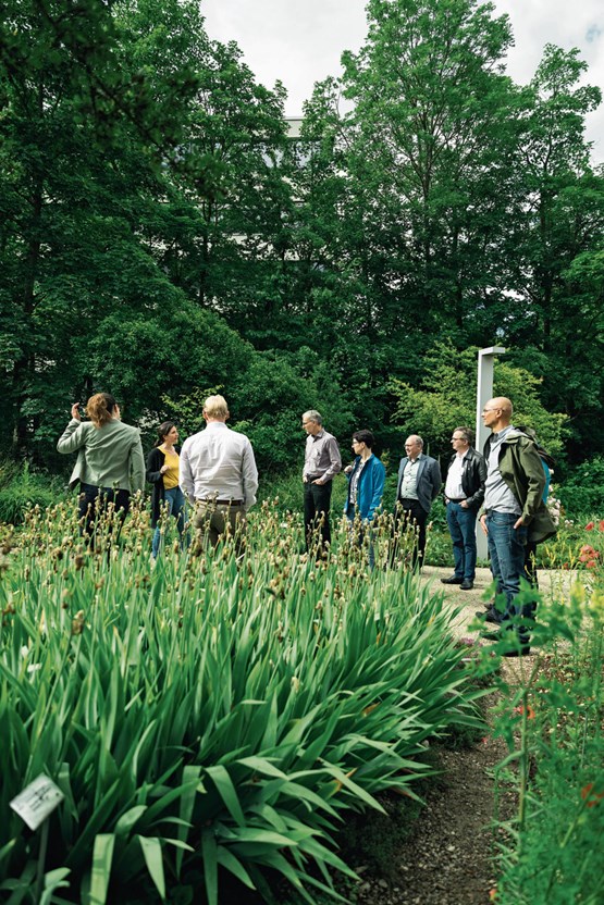 Erfahrungsaustausch im Grünen: Die Teilnehmer des KMU-Frühstücks geniessen einen Einblick in den imposanten Schaugarten von Weleda.Bild: zVg