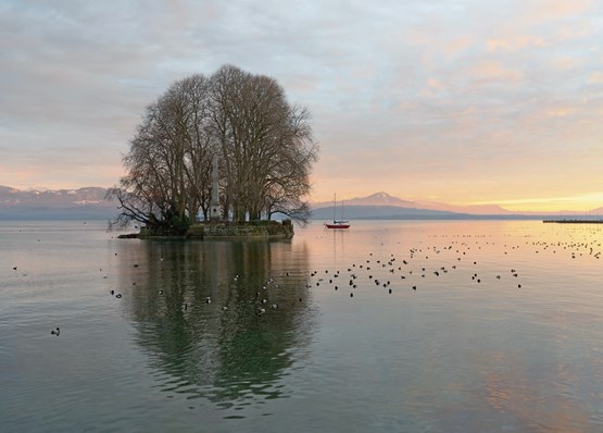 L’Île de la Harpe à Rolle (VD). Pour que la Suisse ne souffre pas d’insularité économique, certaines mesures doivent être prises. Et l’usam s’en réjouit.Photo: Xavier von Erlach/Unsplash
