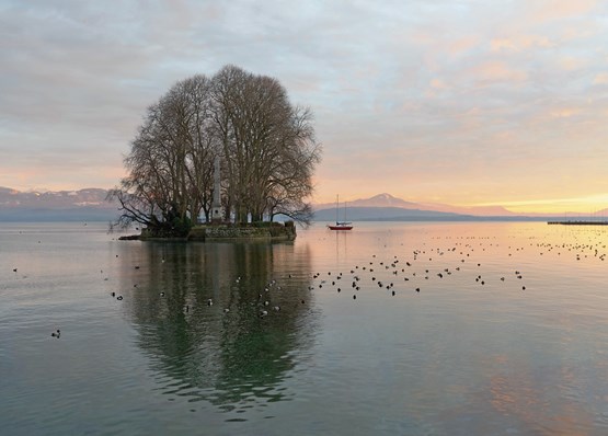 L’île de La Harpe à Rolle (VD): une métaphore de la Suisse où chaque année, plus de 60 milliards de francs de coûts réglementaires sont subis.Photo: Xavier von Erlach/Unsplash