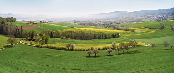 Ils ne sont pas les seuls: de nombreux patrons romands souhaiteraient que les réflexes de consommation locale survivent à l’après-crise. Photo: Xavier von Erlach/Unsplash