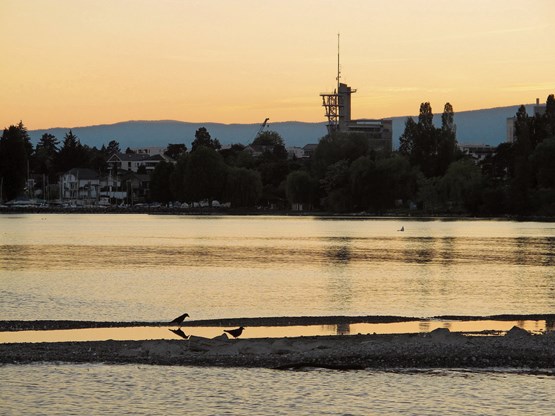 Un crépuscule lémanique qui ne change pas la réalité. Les risques sont encore présents et nous devrons faire tout notre possible pour éviter un retour à la fermeture de l’économie. Photo: Ulysse OG