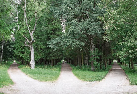 Noch ist unklar, welchen Weg die Weltwirtschaft einschlagen wird.Bild: 123RF