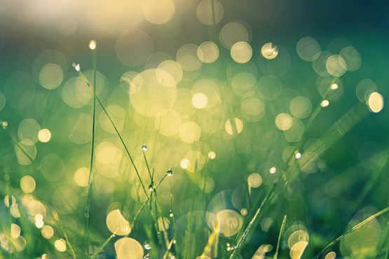 Dans quelle mesure «plus vert» signifie-t-il aussi (plus) de profit?	Photo: Johannes Plenio/Unsplash