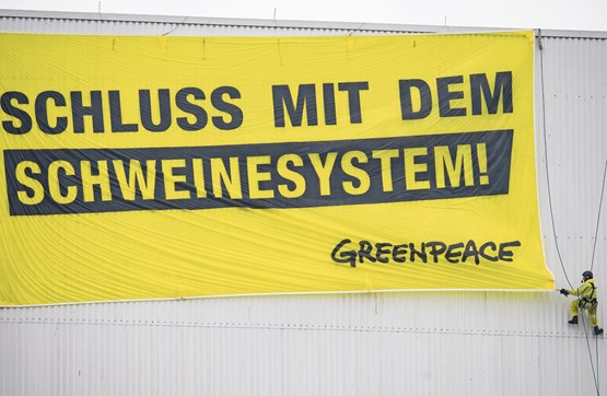 Dass Greenpeace provoziert, ist bekannt. Neu – und nicht akzeptabel – ist, dass Behörden die linken Aktivisten und ihre Anliegen direkt unterstützen.Bild: Keystone