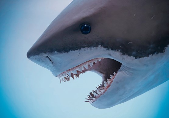 A terme, les grands monopoleurs du numérique seront mis au défi par de nouvelles possibilités, grâce auxquelles les PME pourront dénicher de nouvelles offres. Photo: 123RF