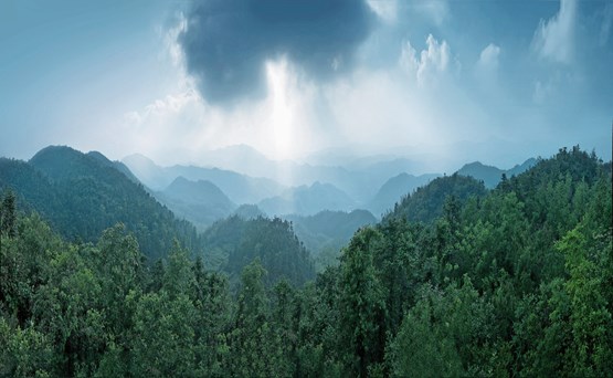 Lueur d’espoir ou douche froide ? Aucune augmentation des faillites n’a encore été enregistrée – jusqu’ici! Photo: 123RF